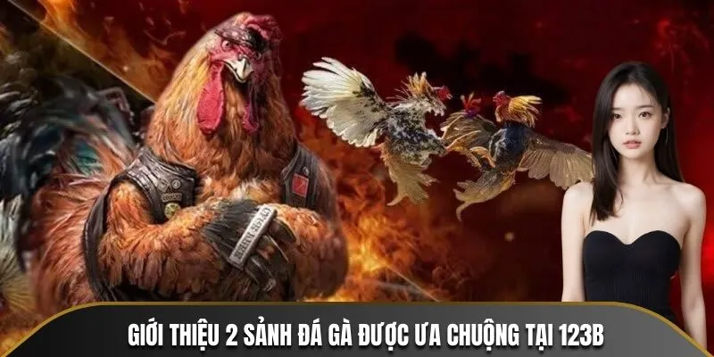 Các sảnh chơi làm nên tên tuổi của Đá Gà 123B
