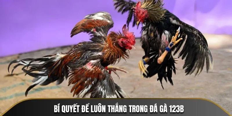 Chiến lược giúp bạn luôn thắng khi đặt cược