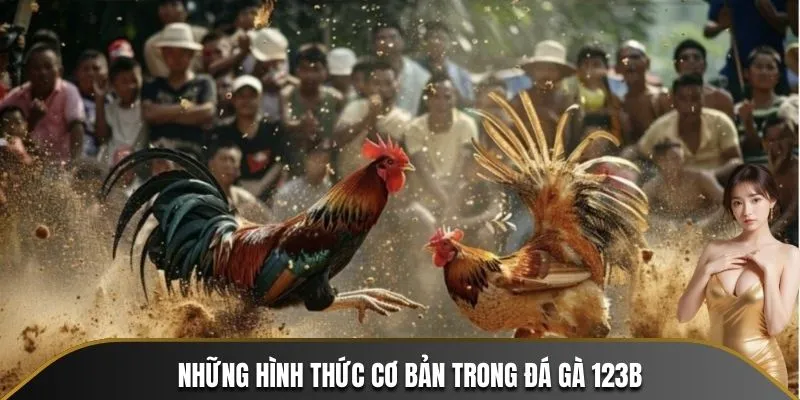 Điểm qua những hình thức chọi gà được ưa chuộng