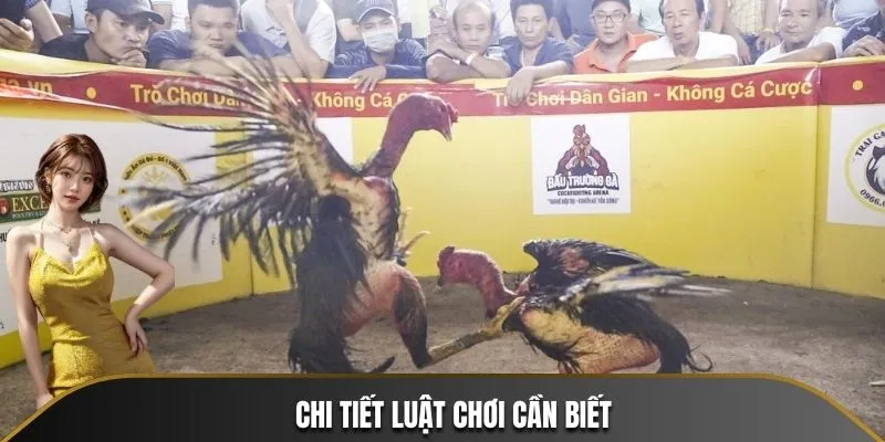 Nắm vững luật chơi để trở thành cao thủ trong giới cá cược đá gà
