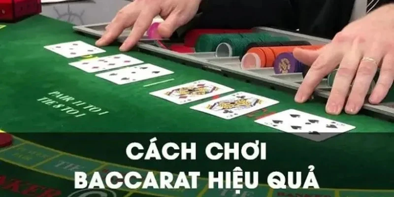 Cách Chơi Baccarat - Hướng Dẫn Từ A Đến Z Cho Newbie